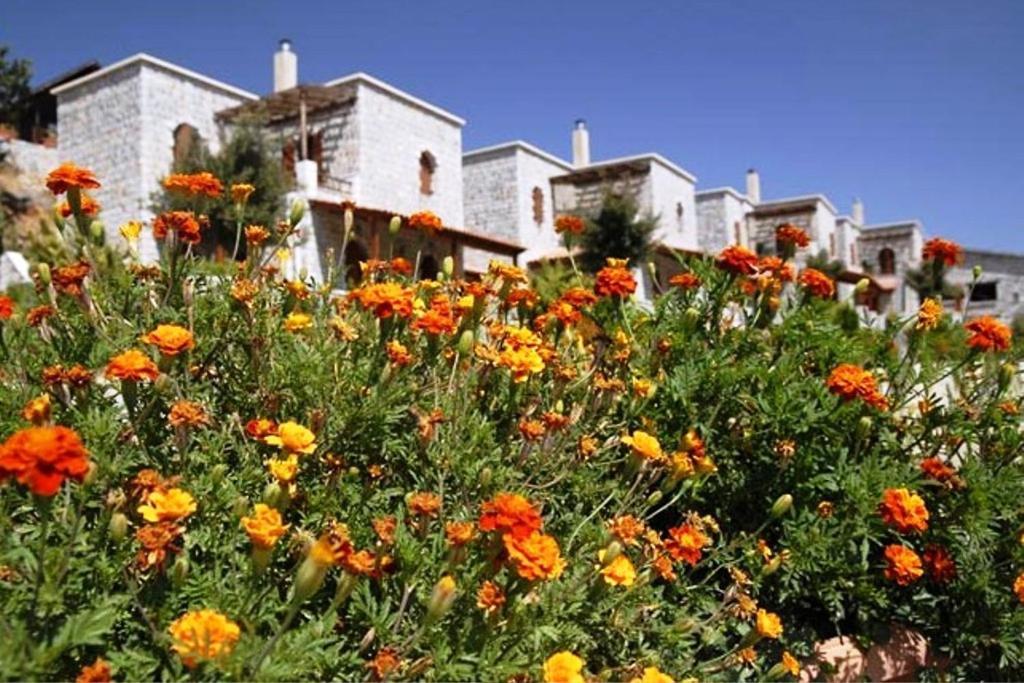 Lefkoritis Resort Askifou Sfakia Petrés المظهر الخارجي الصورة