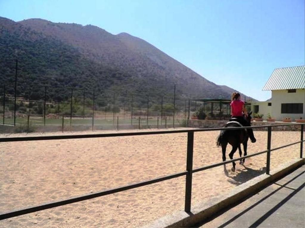 Lefkoritis Resort Askifou Sfakia Petrés المظهر الخارجي الصورة
