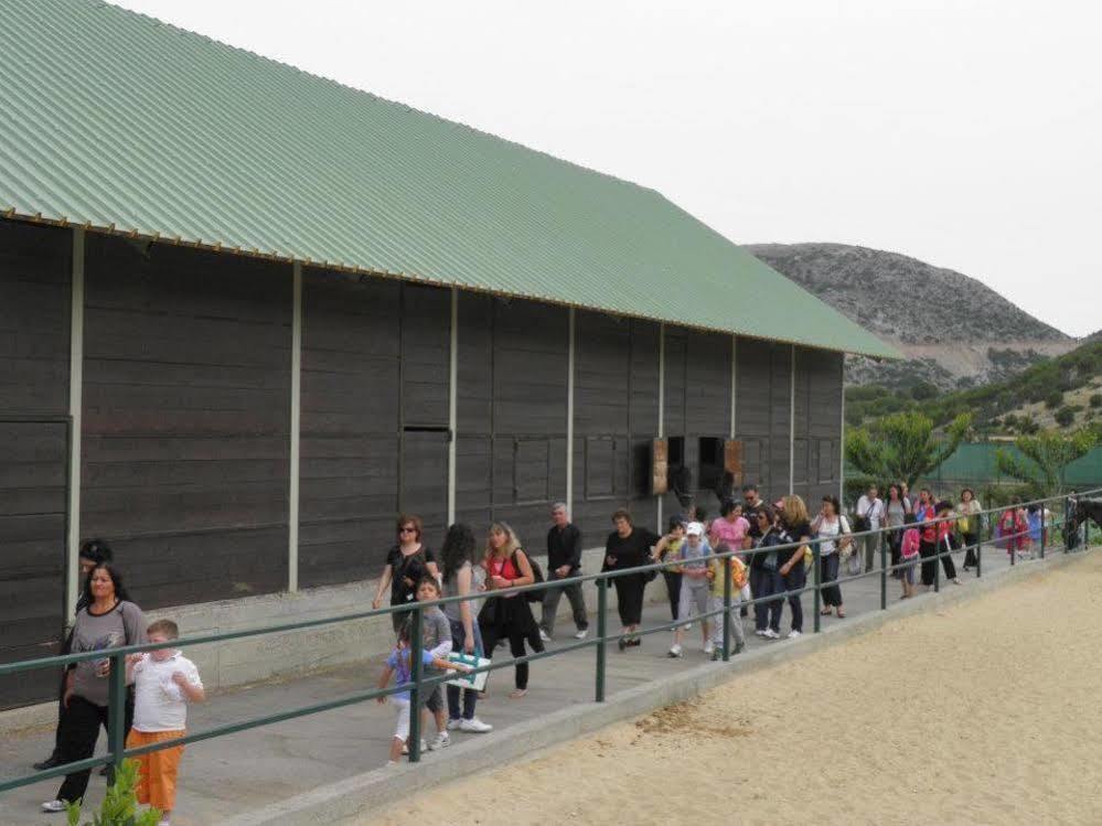 Lefkoritis Resort Askifou Sfakia Petrés المظهر الخارجي الصورة