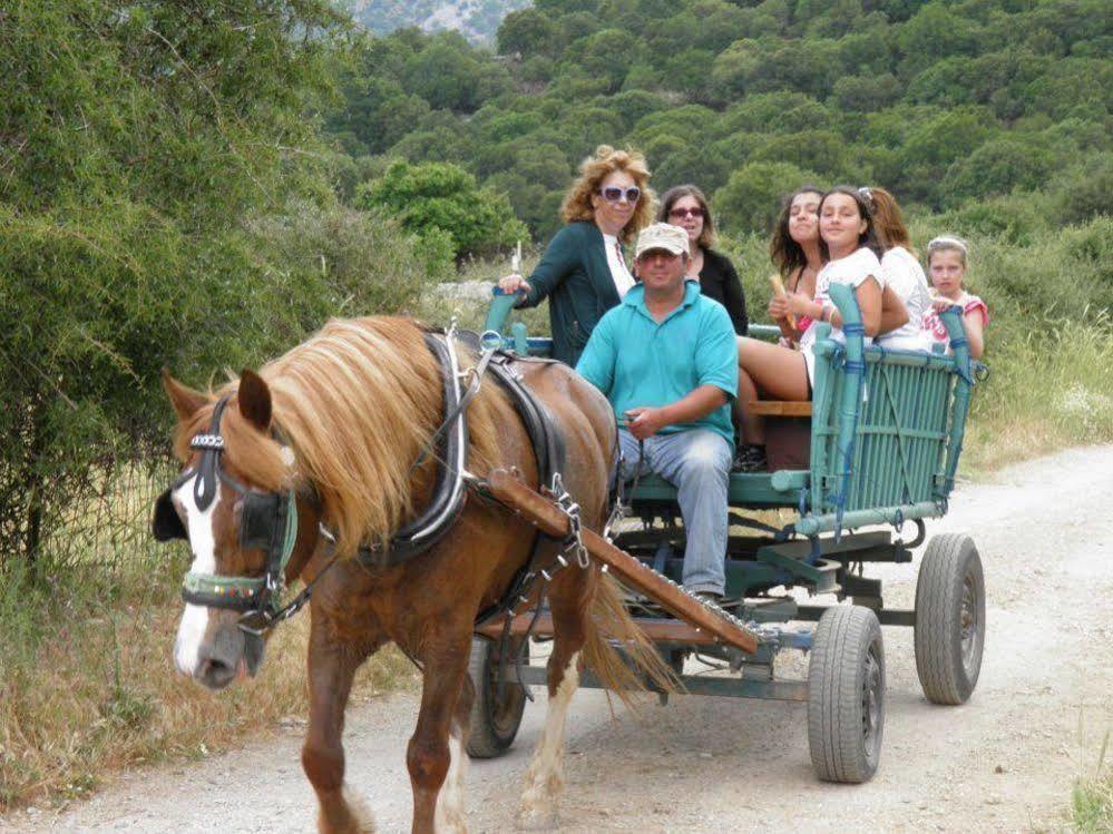 Lefkoritis Resort Askifou Sfakia Petrés المظهر الخارجي الصورة